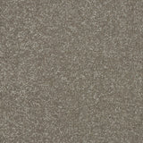 Abingdon Maximus - Velvet Crush Carpet