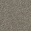 Abingdon Stainfree Maximus heavy twist carpet, soft underfoot in Fossil