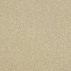 Abingdon Stainfree Maximus heavy twist carpet for living rooms in Fossil