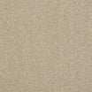 Abingdon Stainfree Maximus heavy twist carpet, Fossil shade