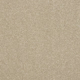 Stainfree Maximus Carpet