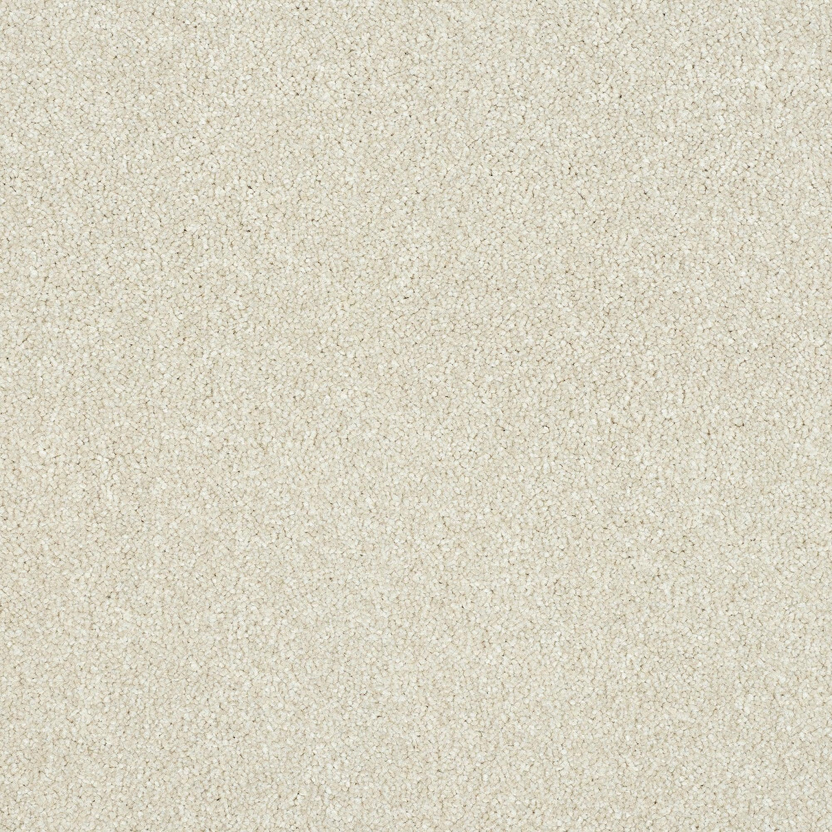 Abingdon Maximus - Stone White Carpet