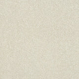 Abingdon Maximus - Stone White Carpet