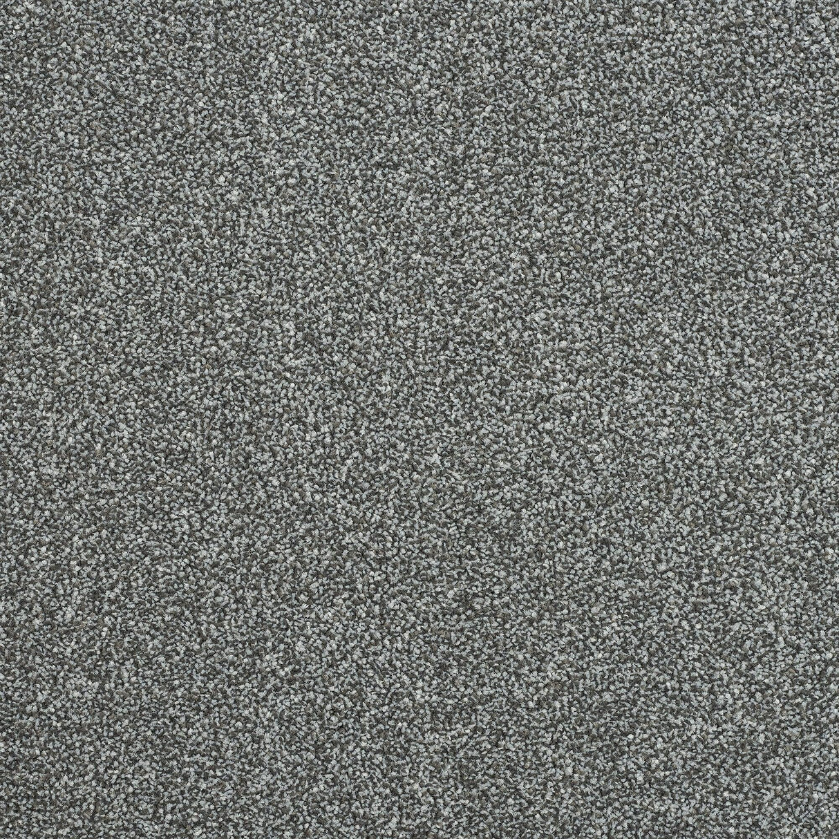 Stainfree Maximus Carpet