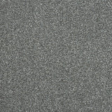 Stainfree Maximus Carpet