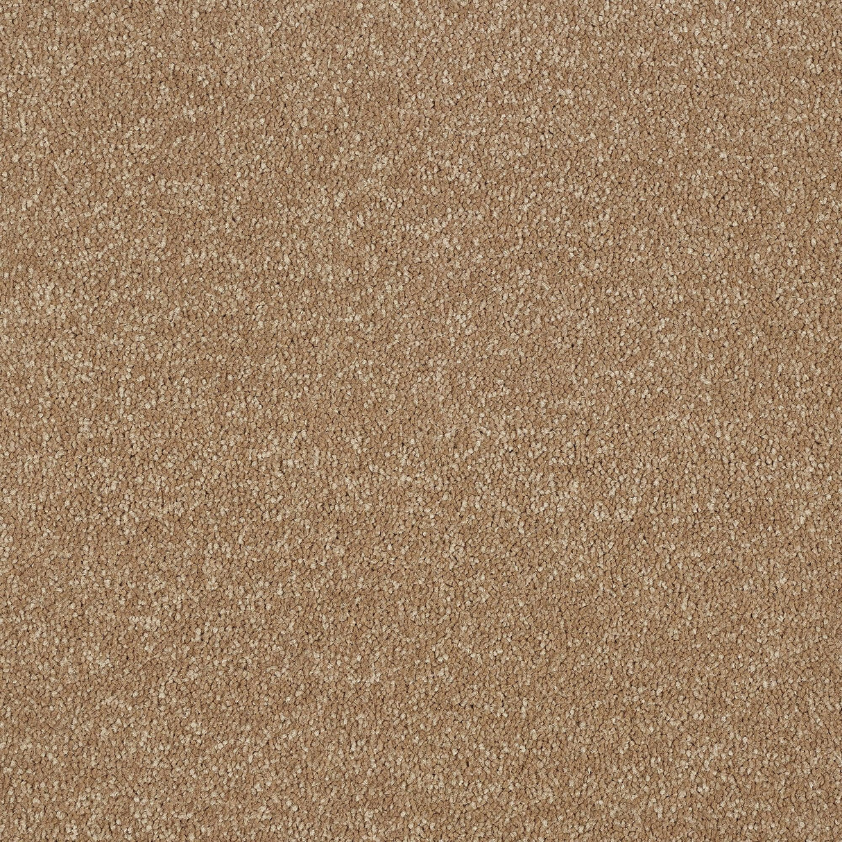 Abingdon Maximus - Mocha Carpet