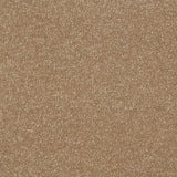 Abingdon Maximus - Mocha Carpet