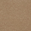Abingdon Stainfree Maximus heavy twist carpet, hard-wearing in Fossil