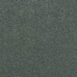 Stainfree Maximus Carpet