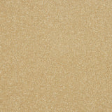 Stainfree Maximus Carpet