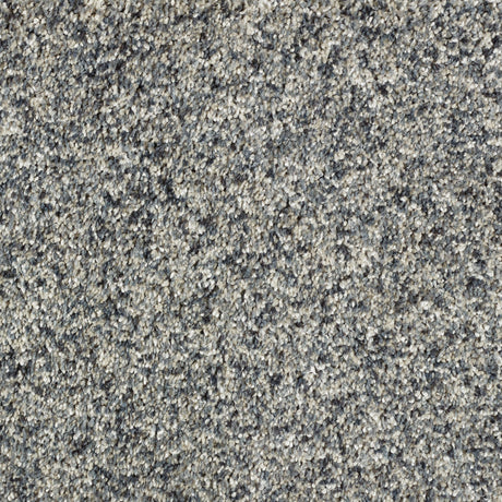 Abingdon Wild Silk - Metallica Carpet – by Abingdon Flooring – 1