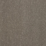 Pure Elegance Carpet