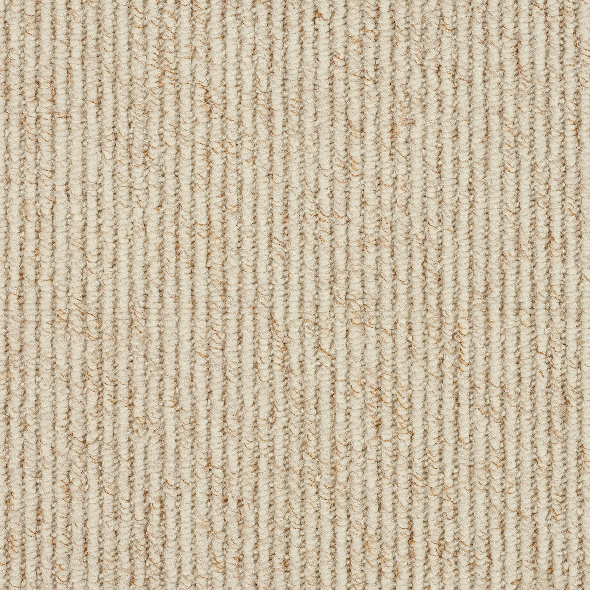 Abingdon Stainfree Country Linear - Ivory - 2.50m x 4.60m Carpet Remnant