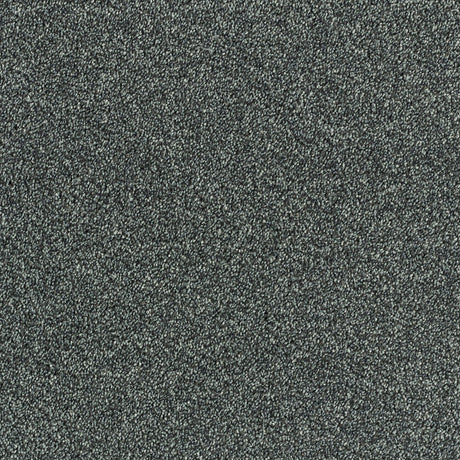 Abingdon Lasting Romance - Nickel Carpet – by Abingdon Flooring – 1