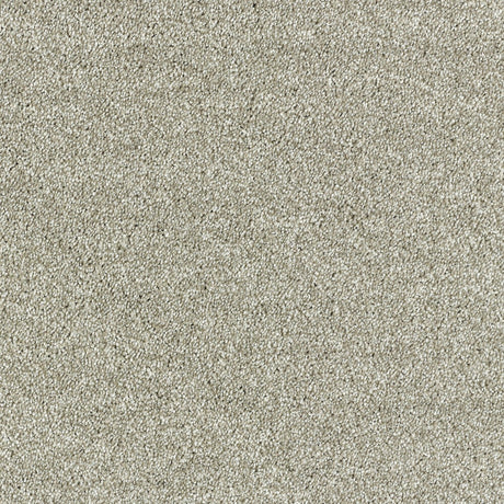 Abingdon Lasting Romance - Dove Grey Carpet – by Abingdon Flooring – 1