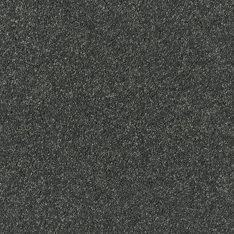 Abingdon Lasting Romance - Welsh Slate Carpet – by Abingdon Flooring – 1