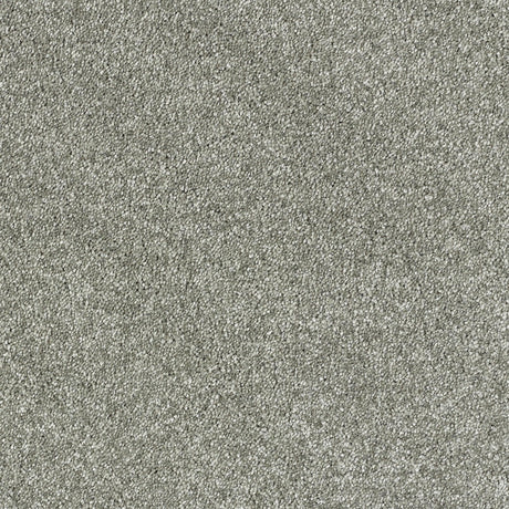 Abingdon Lasting Romance - Pewter Carpet – by Abingdon Flooring – 1
