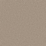 Bliss Deep Pile Carpet