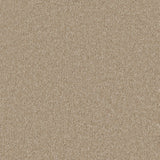 Bliss Deep Pile Carpet