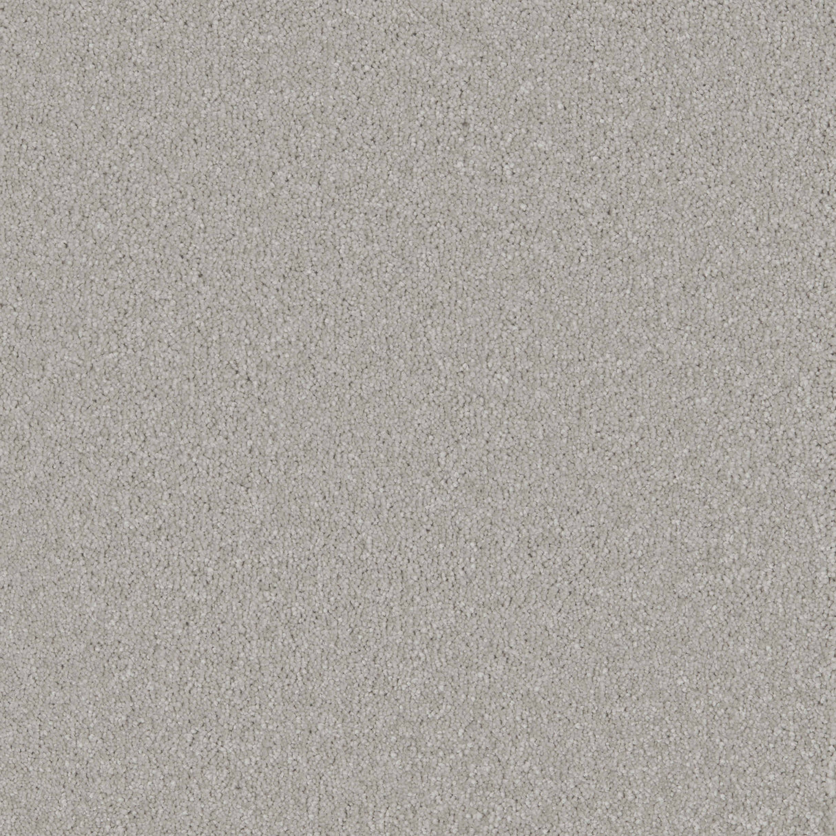 Bliss Deep Pile Carpet