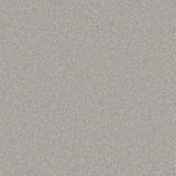 Bliss Deep Pile Carpet