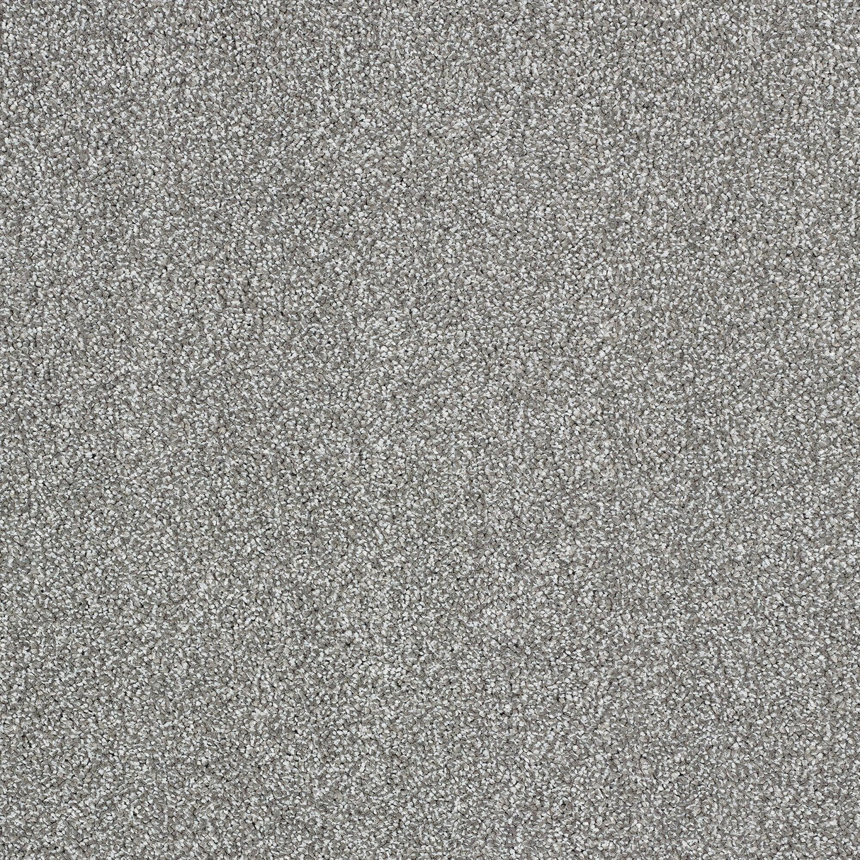 Abingdon Aristocat - Pewter Carpet