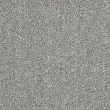 Abingdon Aristocat - Pewter Carpet