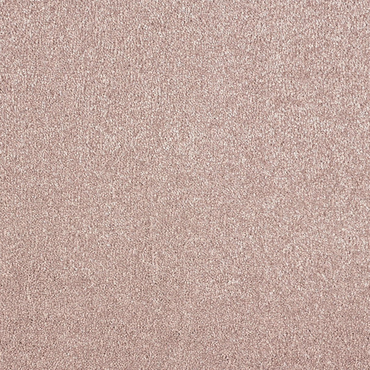Abingdon Aristocat - Rosheip Carpet