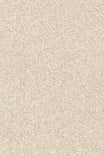 Kingsmead Calla plush soft polyester carpet, soft underfoot in Gunmetal