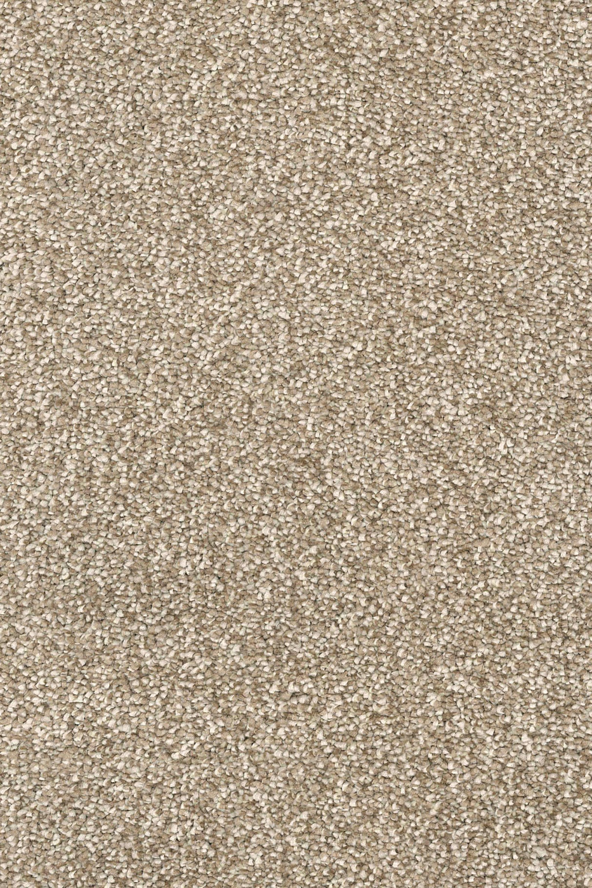 Calla Plush Carpet