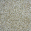 Aries Saxony Carpet