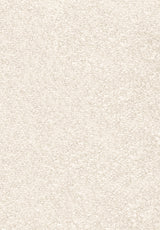 Invictus Centurion - Cream Carpet – by Associated Weavers – 1