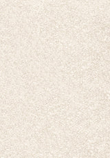 Invictus Centurion Carpet