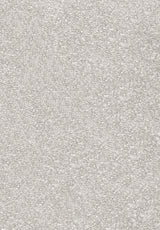 Invictus Centurion - Granola Carpet – by Associated Weavers – 1