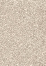Invictus Centurion - Shortbread Carpet – by Associated Weavers – 1