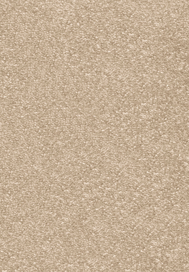Invictus Centurion - Sandcastle Carpet – by Associated Weavers – 1