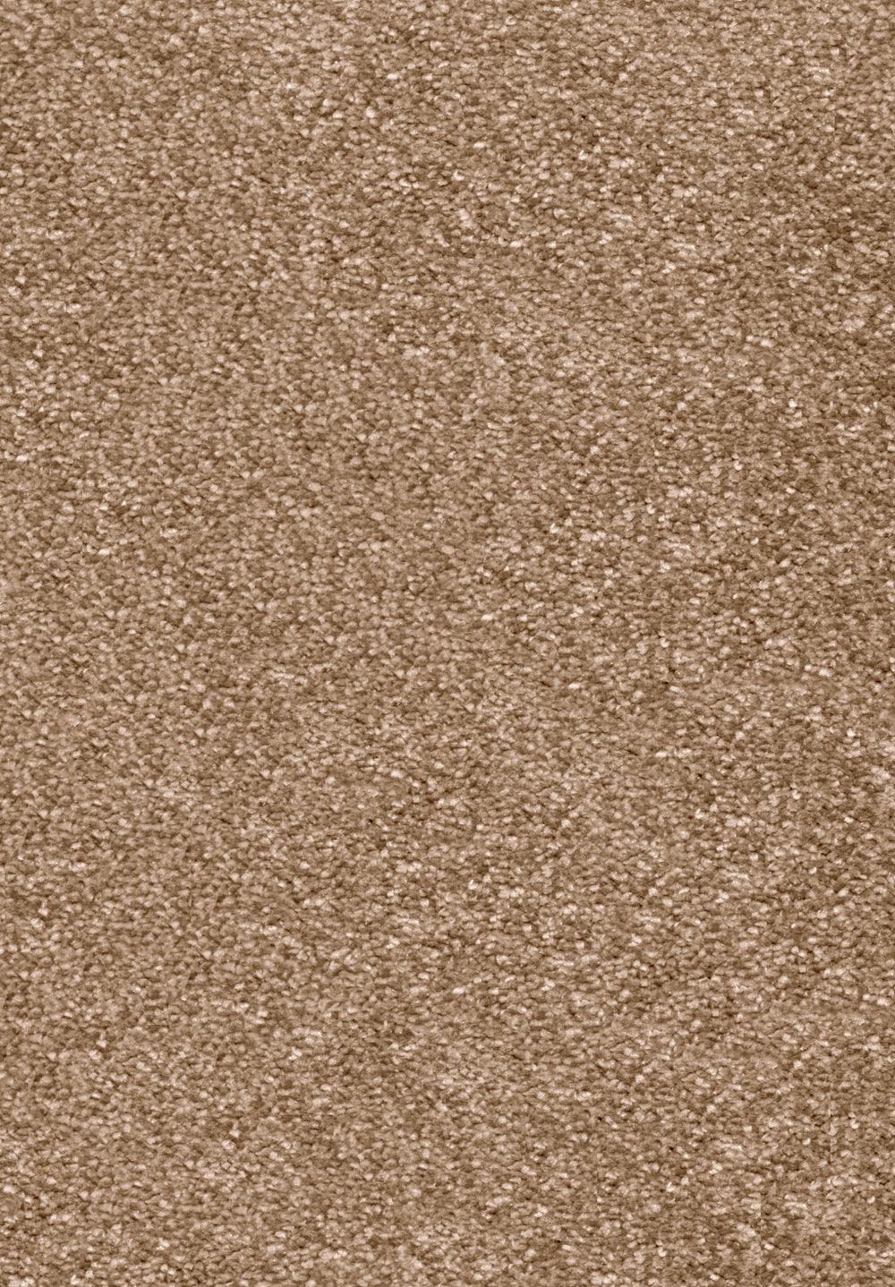 Invictus Centurion - Latte Carpet – by Associated Weavers – 1