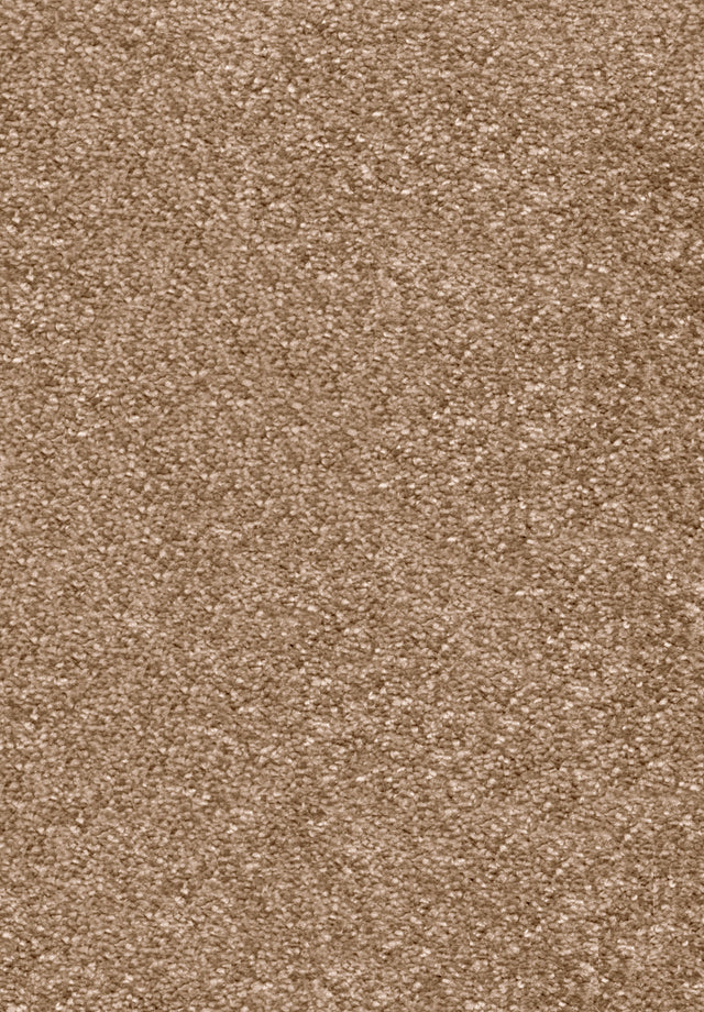 Invictus Centurion - Latte Carpet – by Associated Weavers – 1