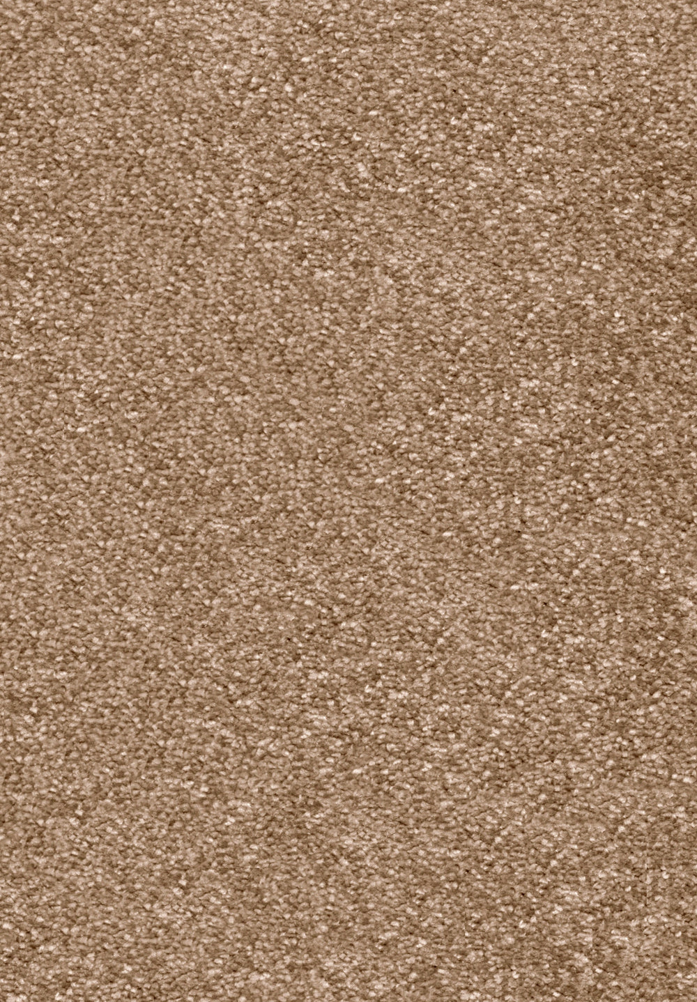 Invictus Centurion Carpet