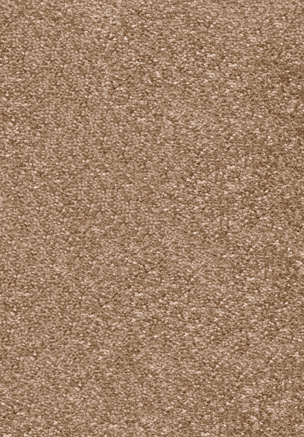 Invictus Centurion Carpet