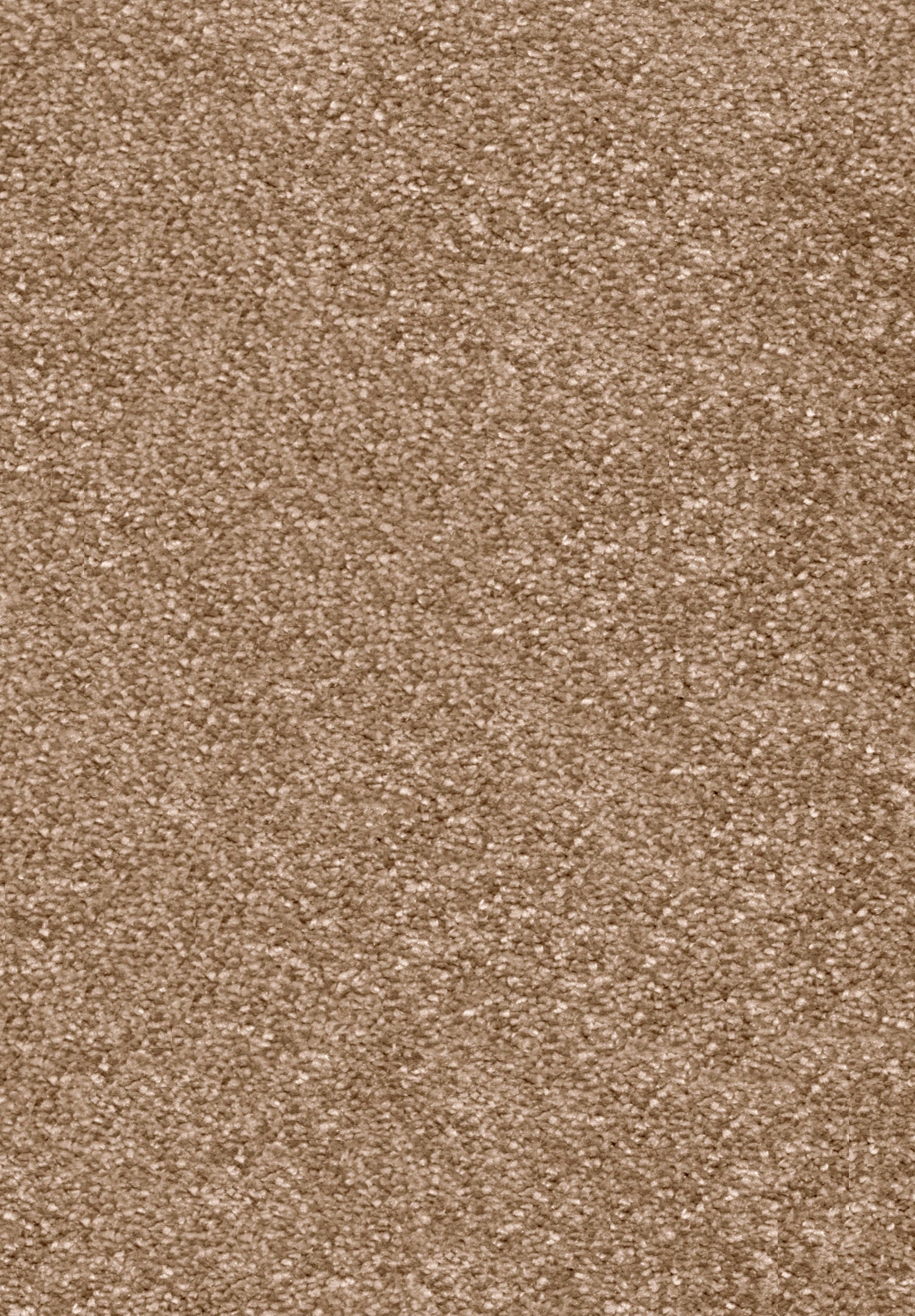 Invictus Centurion Carpet