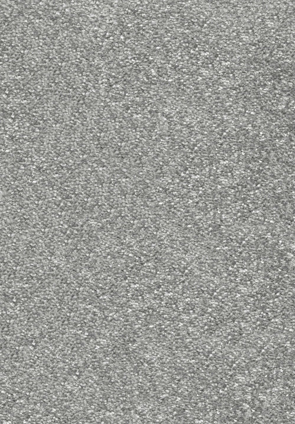 Invictus Centurion - Steel Grey Carpet – by Associated Weavers – 1