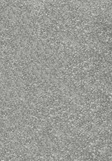 Invictus Centurion - Steel Grey Carpet – by Associated Weavers – 1