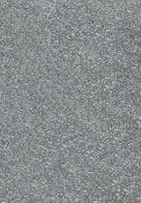 Invictus Centurion - Slate Carpet – by Associated Weavers – 1