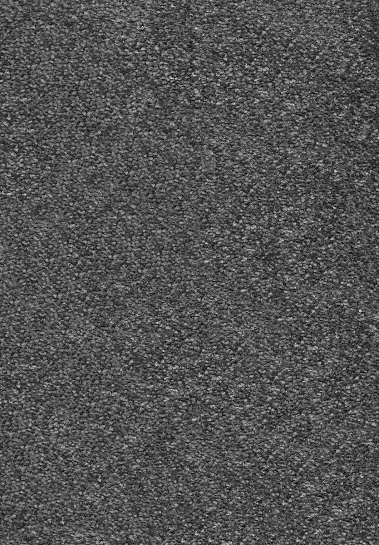 Invictus Centurion Carpet