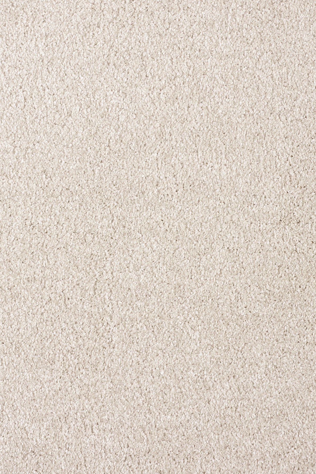 Soft and durable associated Weavers Gaia Orinoco recycled deep pile carpet in Raven
