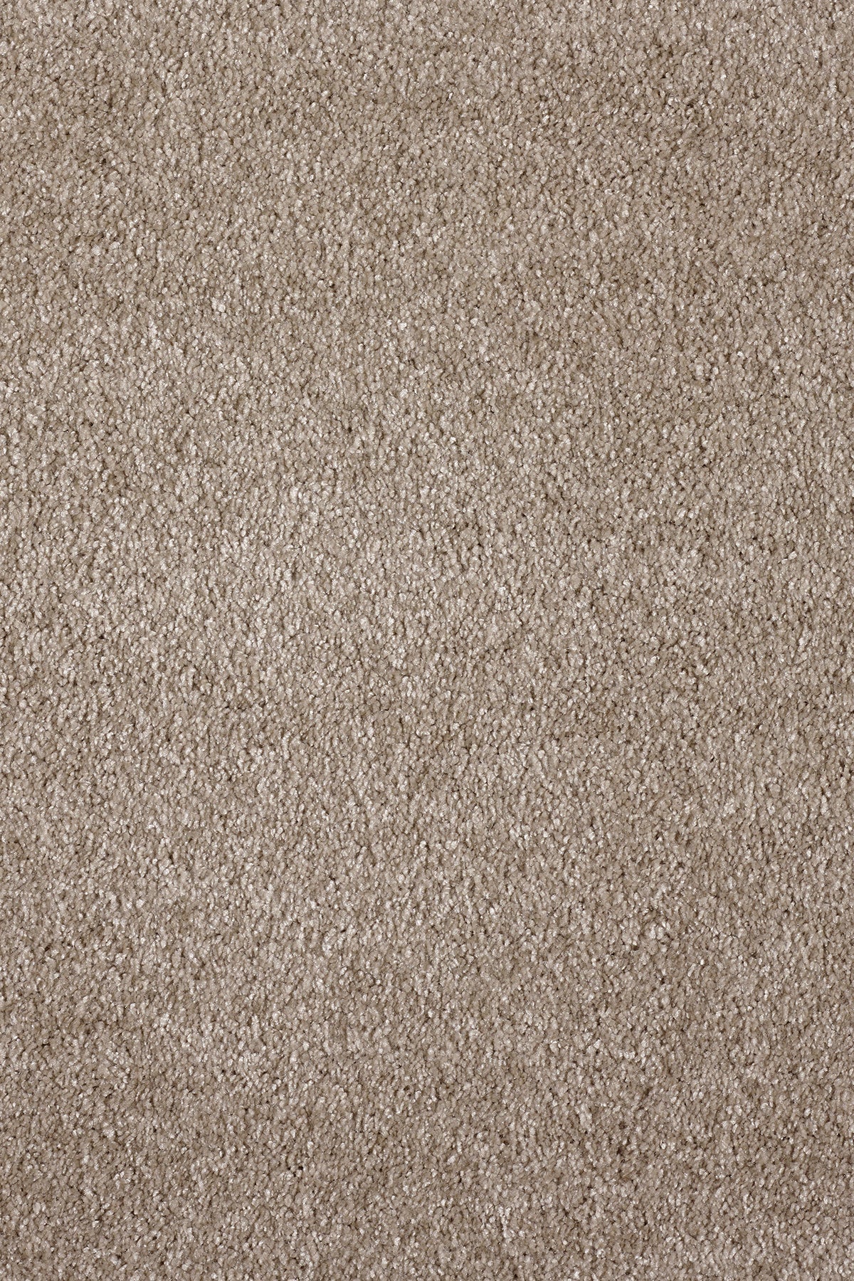 Associated Weavers Gaia Orinoco recycled deep pile carpet for bedrooms in Raven