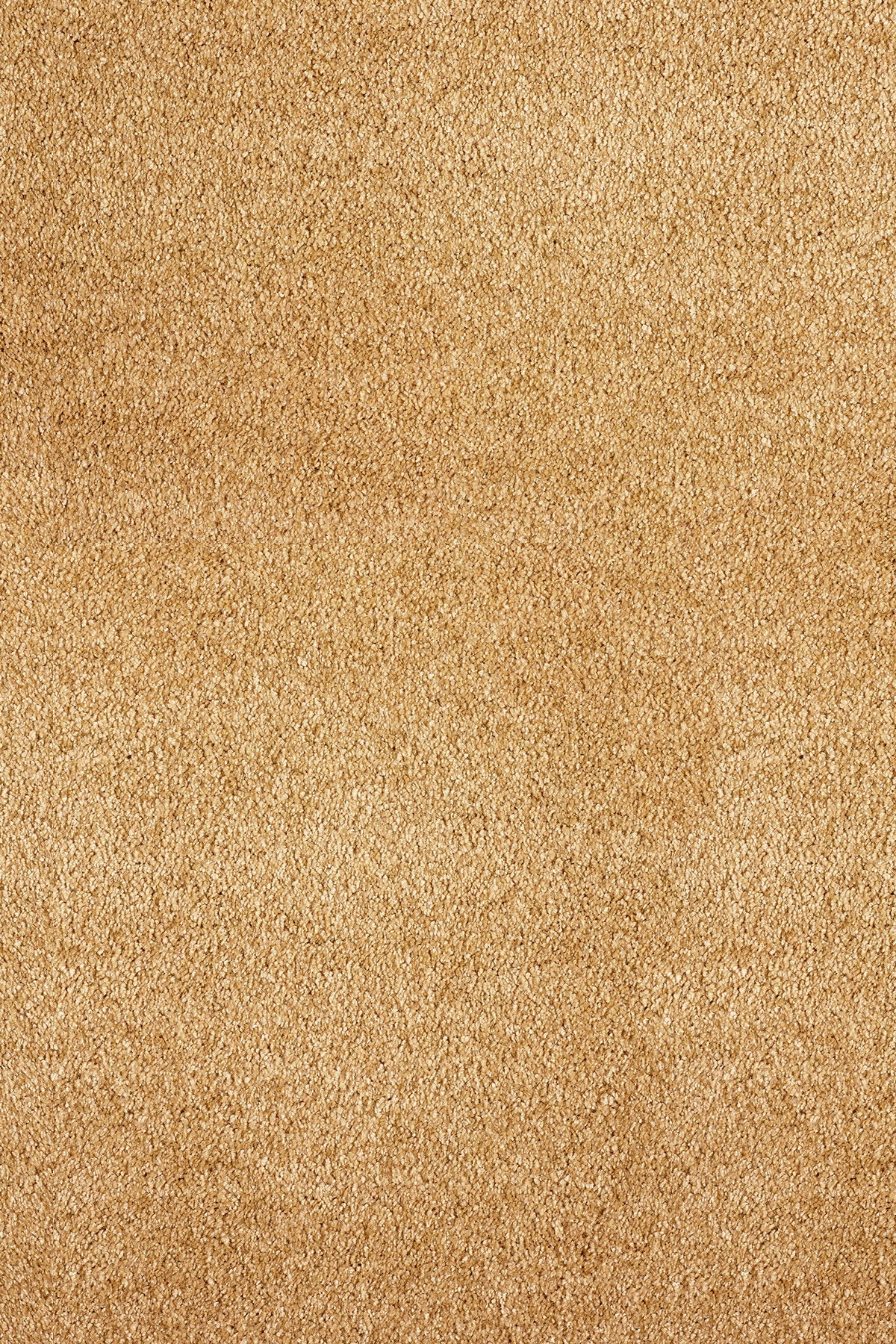 Associated Weavers Gaia Orinoco recycled deep pile carpet, Raven shade