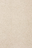 Stylish associated Weavers Gaia Orinoco recycled deep pile carpet in Raven
