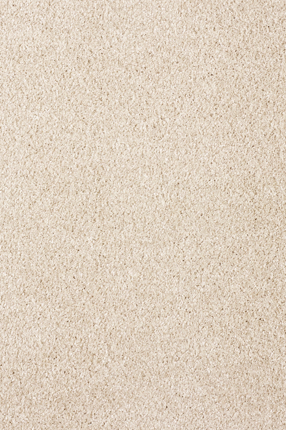 Stylish associated Weavers Gaia Orinoco recycled deep pile carpet in Raven